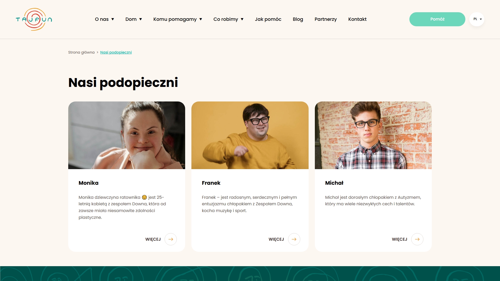 Portfolio image