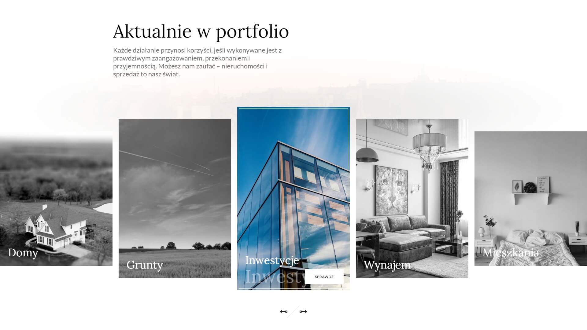 Portfolio image